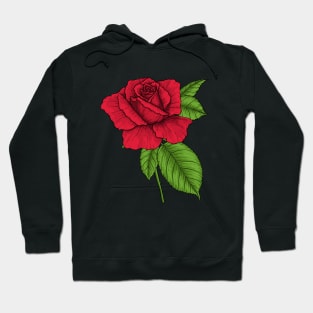 Red rose Hoodie